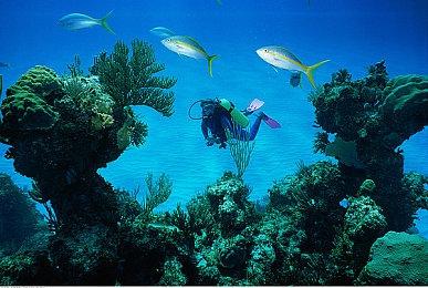 玩家自制《星空》mod 可以实现星球旅行